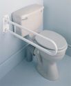 Fold-Away Grab Bar