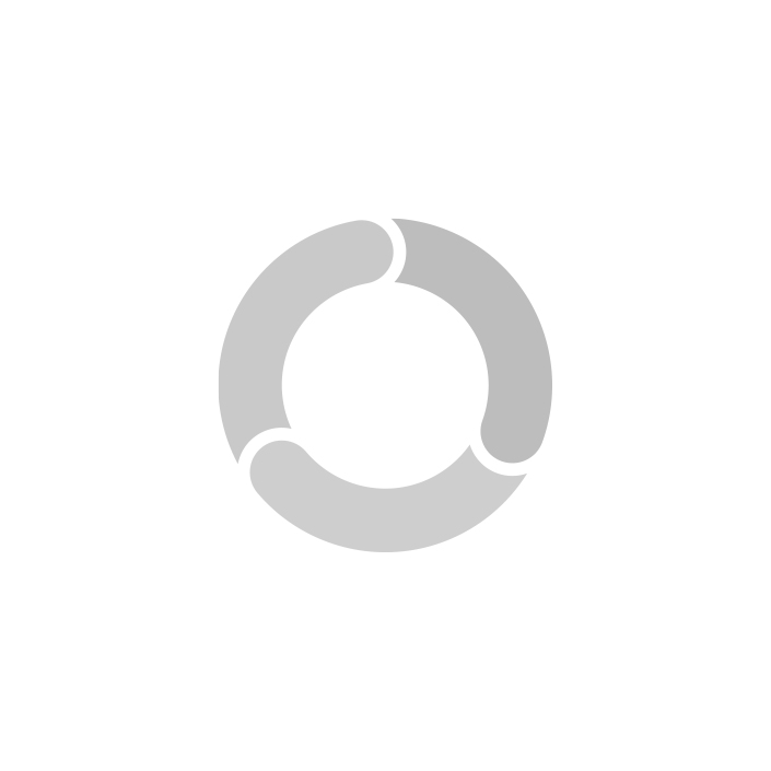 Professional Broom Head: Soft