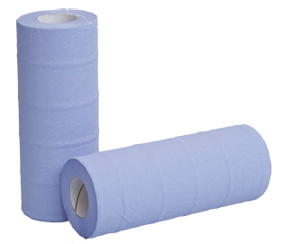 10" Couch/Hygiene Roll 2Ply Blue 40M