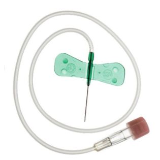 Surflo Winged Infusion Set 21G - Green