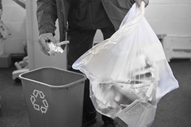 Clear Sacks - Standard